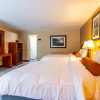 Отель Eden Inn Motel, фото 4