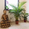 Отель Zen House, фото 13