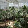 Отель Gaylord Palms Resort & Convention Center, фото 41