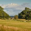 Отель Cardross Estate Holiday Cottages, фото 26