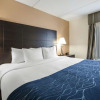 Отель Comfort Inn Oak Ridge - Knoxville, фото 22