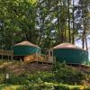 Отель Circle M Camping Resort 24 Ft. Yurt 2, фото 10