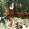 Отель Scenic Wonders Tioga Logs 3 Bedrooms, фото 12