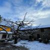 Отель Gasthof zum Storch, фото 18