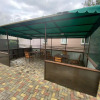 Гостевой дом Олимп, фото 15