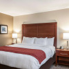 Отель Comfort Inn & Suites At Copeland Tower, фото 4