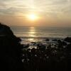 Отель Hartland Quay Hotel, фото 9