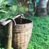 Отель Ben Tre Garden Farmstay, фото 40