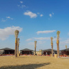 Отель Al Marmoom Oasis 