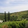 Отель Villa Rignana - The Tuscan Collection, фото 44