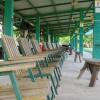 Отель Greenview Resort, фото 5