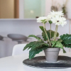 Отель Lovelystay - 1br Flat W AC And Balcony by Aliados, фото 14