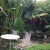 Отель Venezia Homestay and Garden, фото 12