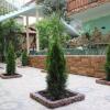 Гостиница Guest house Pravoslavnaya ulitsa 48a, фото 18