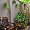 Отель Baan88 chiangmai - บ้าน๘๘ เชียงใหม่, фото 39