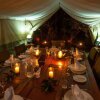 Отель Losokwan Luxury Tented Camp - Maasai Mara, фото 8
