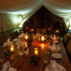 Отель Losokwan Luxury Tented Camp - Maasai Mara, фото 12