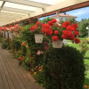 Отель Paradisgården, фото 19