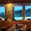 Отель Berggasthof&Pension Zur Todtnauer Hütte, фото 17