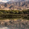 Отель The Indus River Camp в Лехе