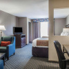 Отель Comfort Suites Near Texas A&M University - Corpus Christi, фото 6