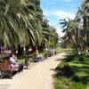 Хостел New Hostel Sochi, фото 15