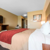 Отель Comfort Inn & Suites, фото 27