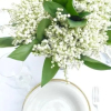 Отель Willa Viktoria, фото 16
