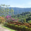 Отель Casa Hacienda Jaguar, фото 26