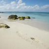 Отель Villa Bougainvillea Aruba, фото 15