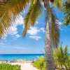 Отель Coconut Bay by Cayman Villas, фото 8