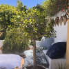 Отель B&B Villa Maria Guest Rooms - San Roque Golf - Sotogrande, фото 13