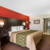 Отель Econo Lodge North, фото 26