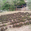 Отель Agriturismo Al Poggetto, фото 24