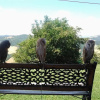 Отель Girfalco - Country House - Bed&Breakfast, фото 12