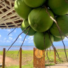 Отель Condominio Praias de Maragogi, фото 19