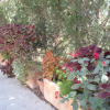 Отель Leyad Hashmura Lodging, фото 12