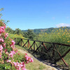 Отель Apartment in Pennabili on Tuscan Border near Nature Park, фото 9