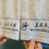 Отель Wuyun Fengsheng Holiday Hotel, фото 13