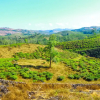 Отель Sam Valley, фото 7