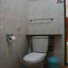 Отель Jungle Vista - Hostel, фото 8