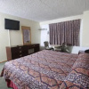 Отель Meadowbrook Motor Lodge, фото 19