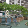 Отель Romantic Waikiki Banyan 2513 with Ocean and Diamond Head Views and Free Parking!, фото 8