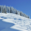 Отель Large Chalet Apartment in Saalbach-hinterglemm, фото 10