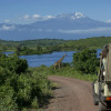 Отель Arusha Serena Hotel, фото 19