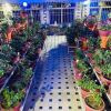 Отель Al Qasim Hotel в Куетте
