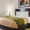 Отель Econo Lodge & Suites, фото 20