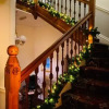 Отель The Grey Walls, фото 41