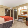 Отель Comfort Inn & Suites, фото 5