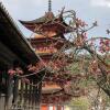 Отель Traditional Machiya Hotel Shiomachi-An, фото 16